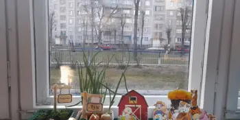 Чудеса на подоконнике